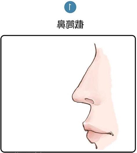 截筒鼻 面相